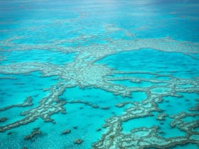 Protecting the Great Barrier Reef Cover Image