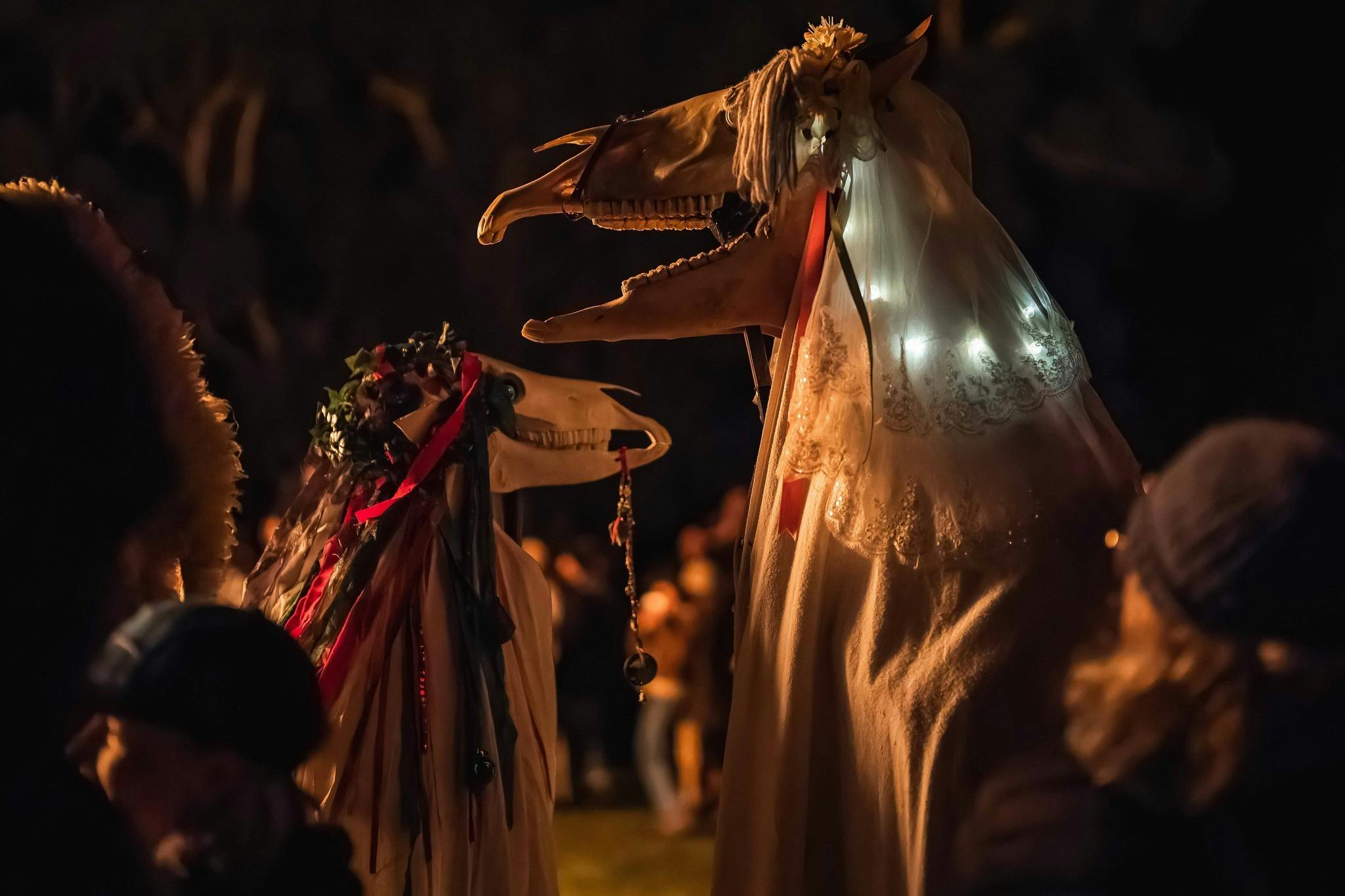The Mari Lwyd