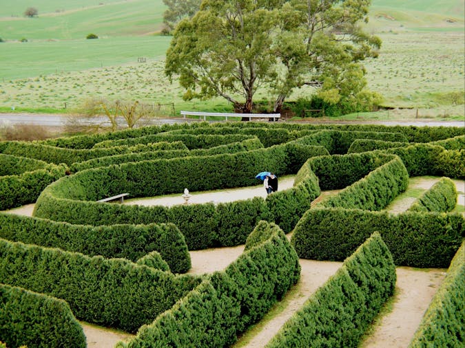 Mintaro Maze