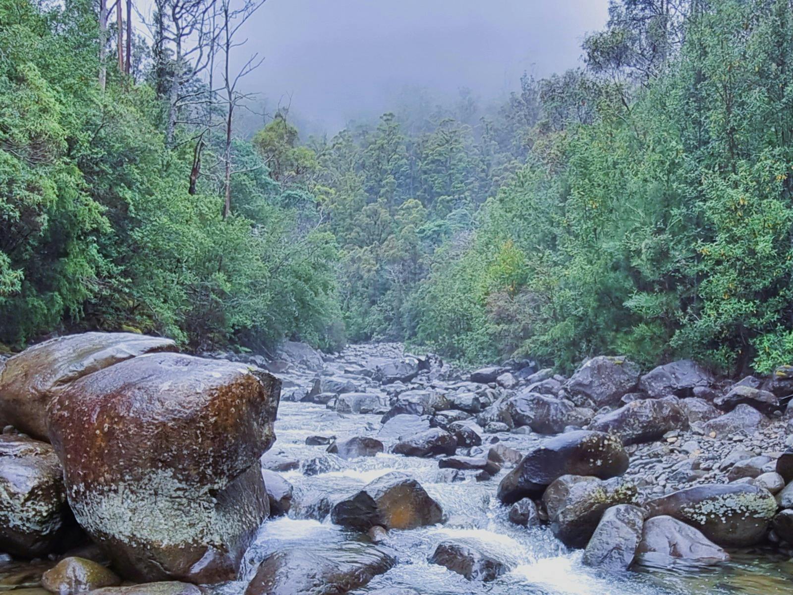 Wim Hoff Method, Hobart, Off season,  Tasmania, travel, wild wellness, kunanyi, Mt Wellington