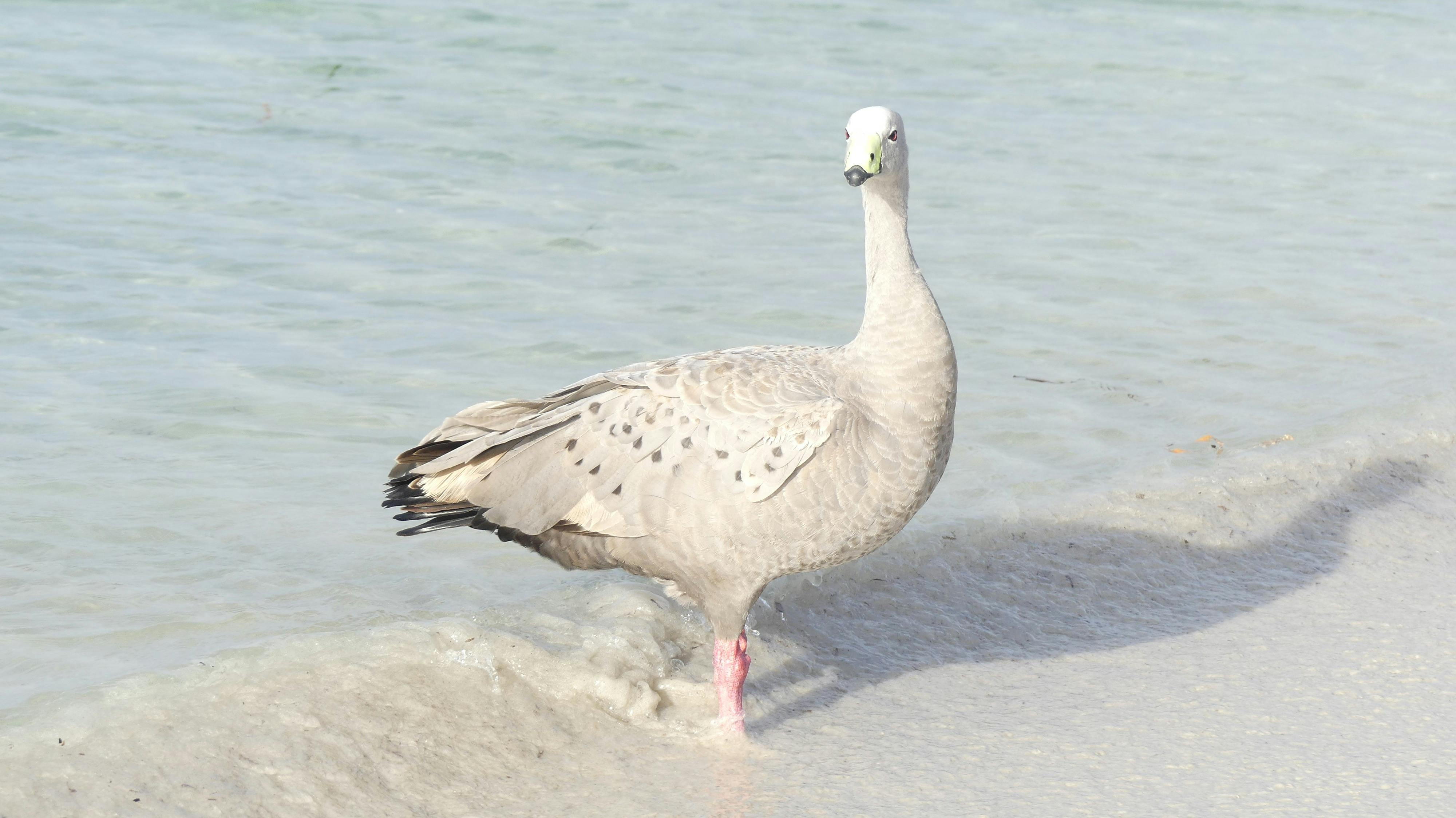 Wildlife and Marine life tours
