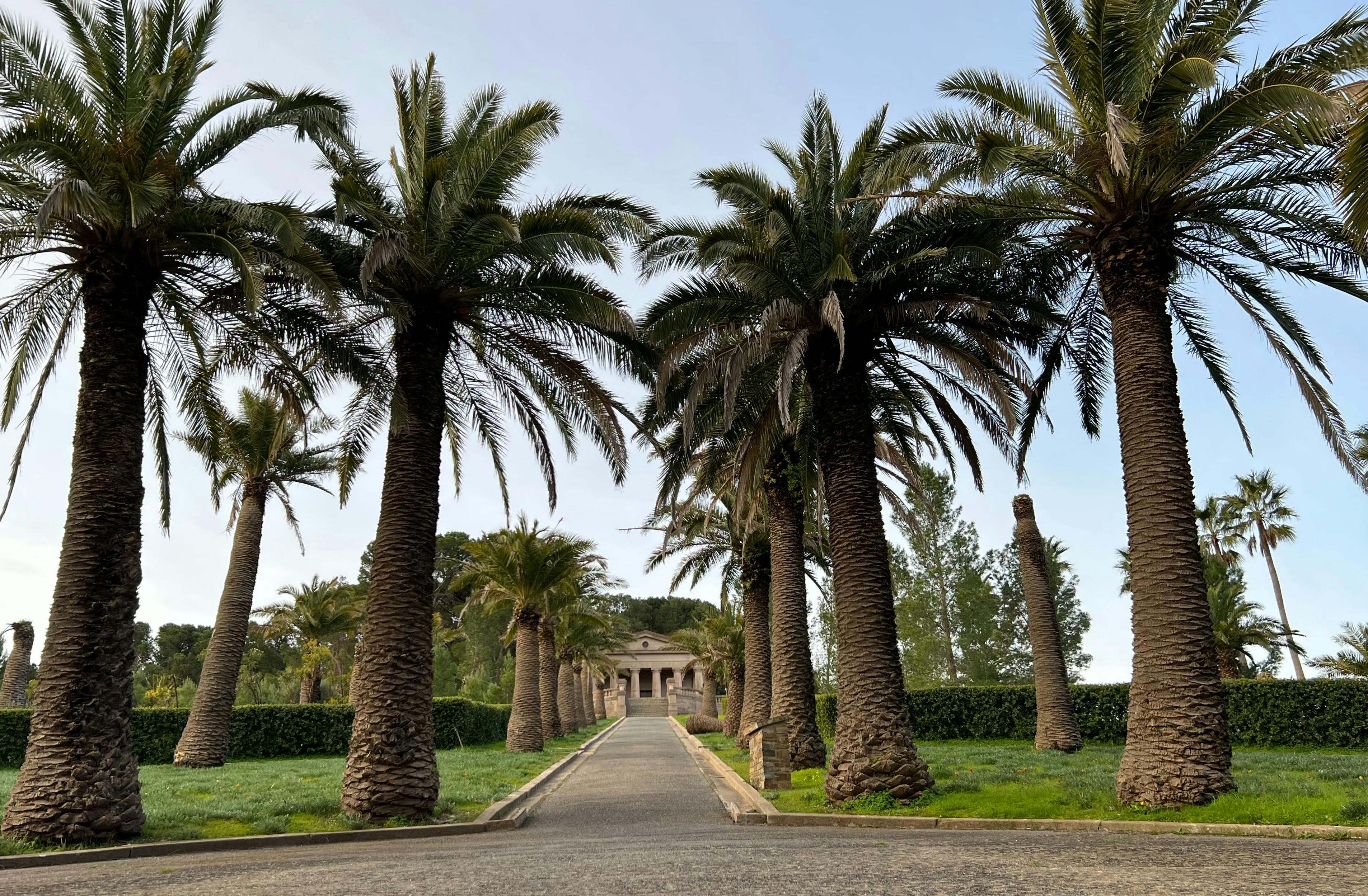 Barossa Valley Wine Tours