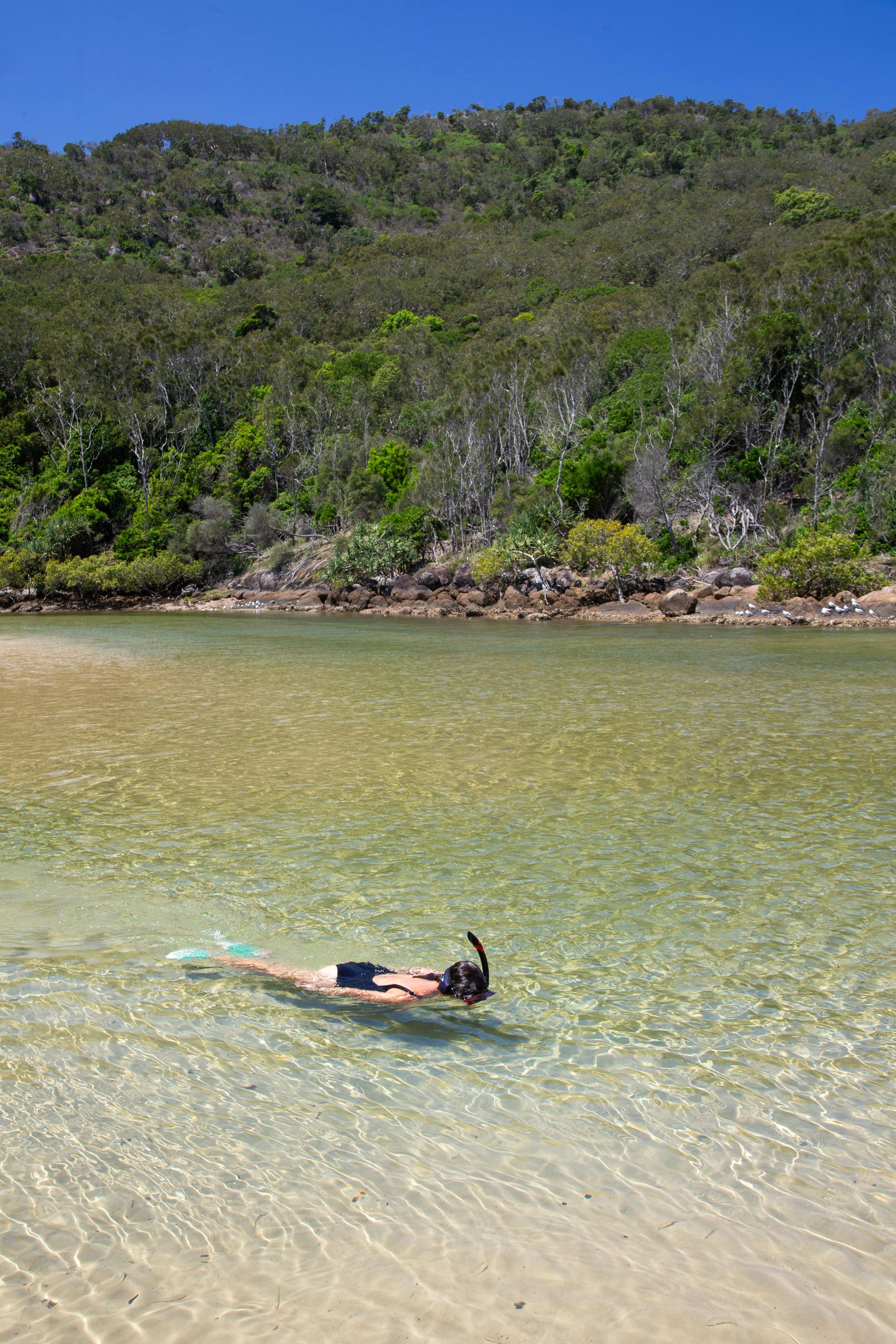 Snorkeling Hat Head NSW Macleay Valley Coast