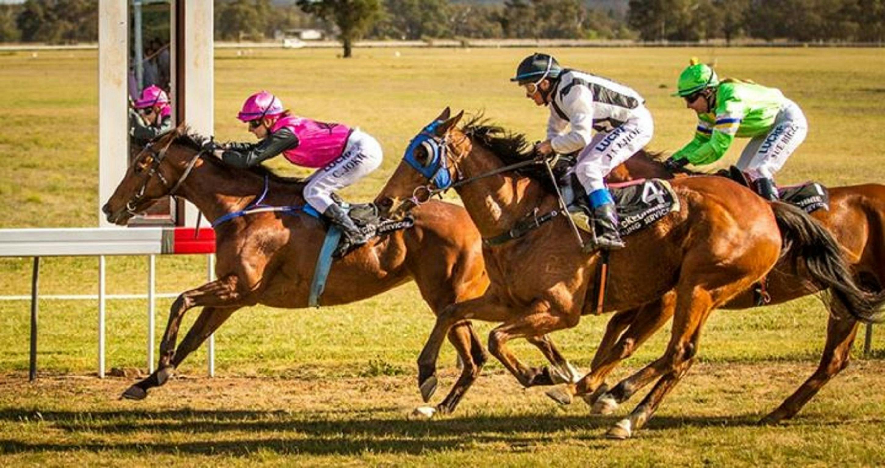 Mendooran Turf Club Races