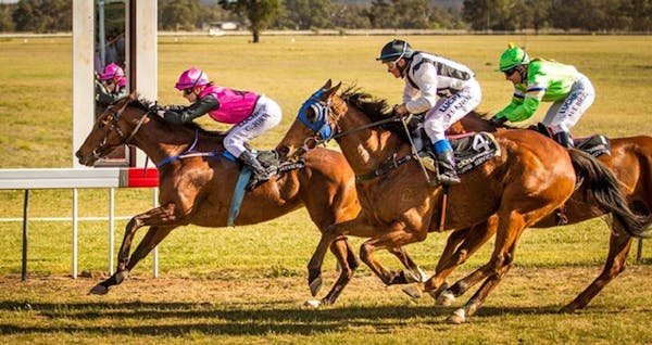 Mendooran Turf Club Races