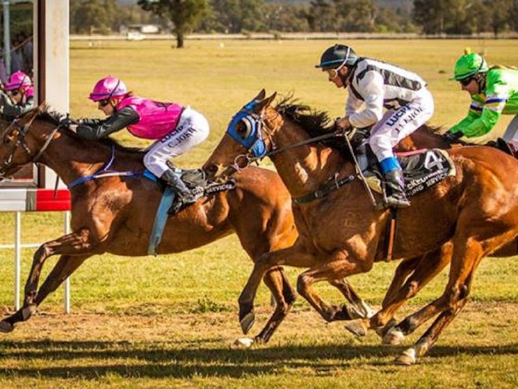 Mendooran Races