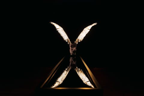 Vines and Caves - Exploring the Valley 43 23bea8ede4b8bea75899ed11de74867c