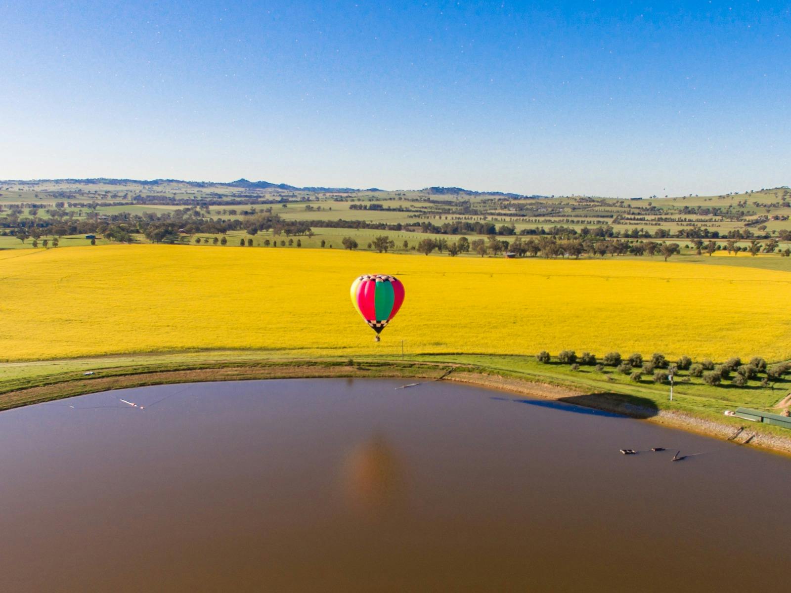 Canola Balloon Flights - Cowra Canola Experiences