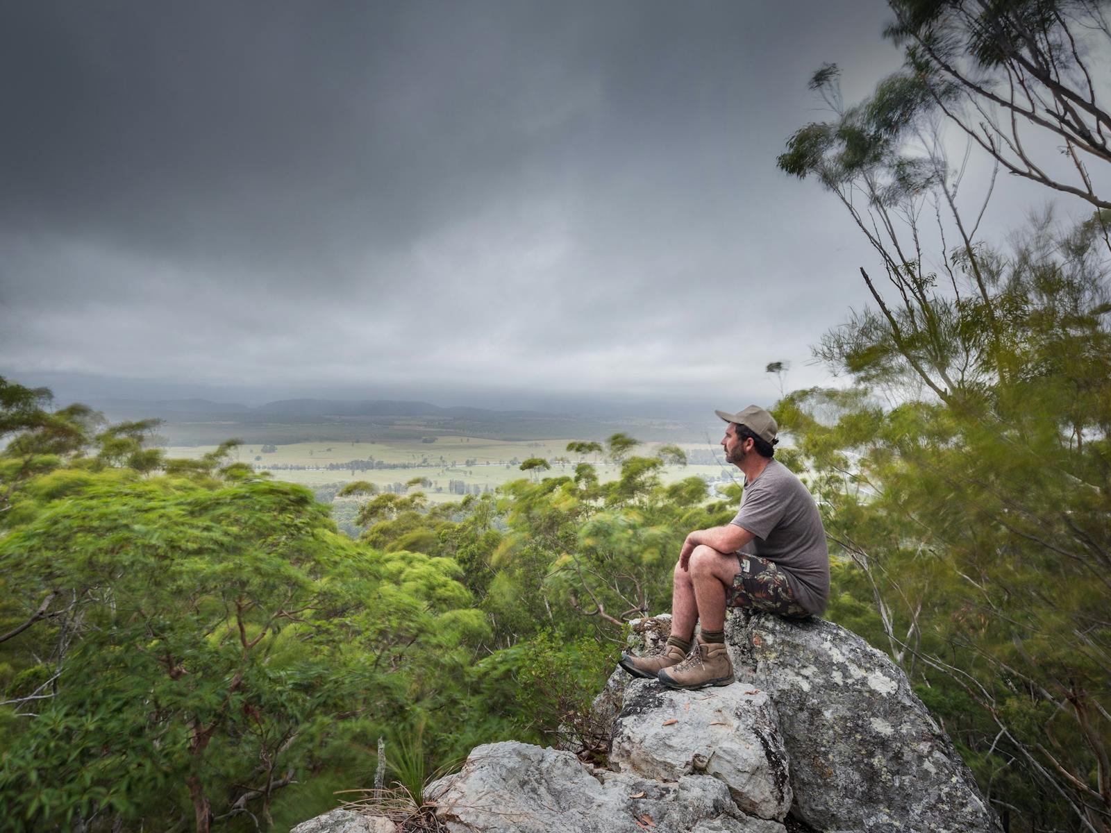 Views from Bulahdelah State Forest