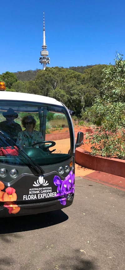 Flora Explorer