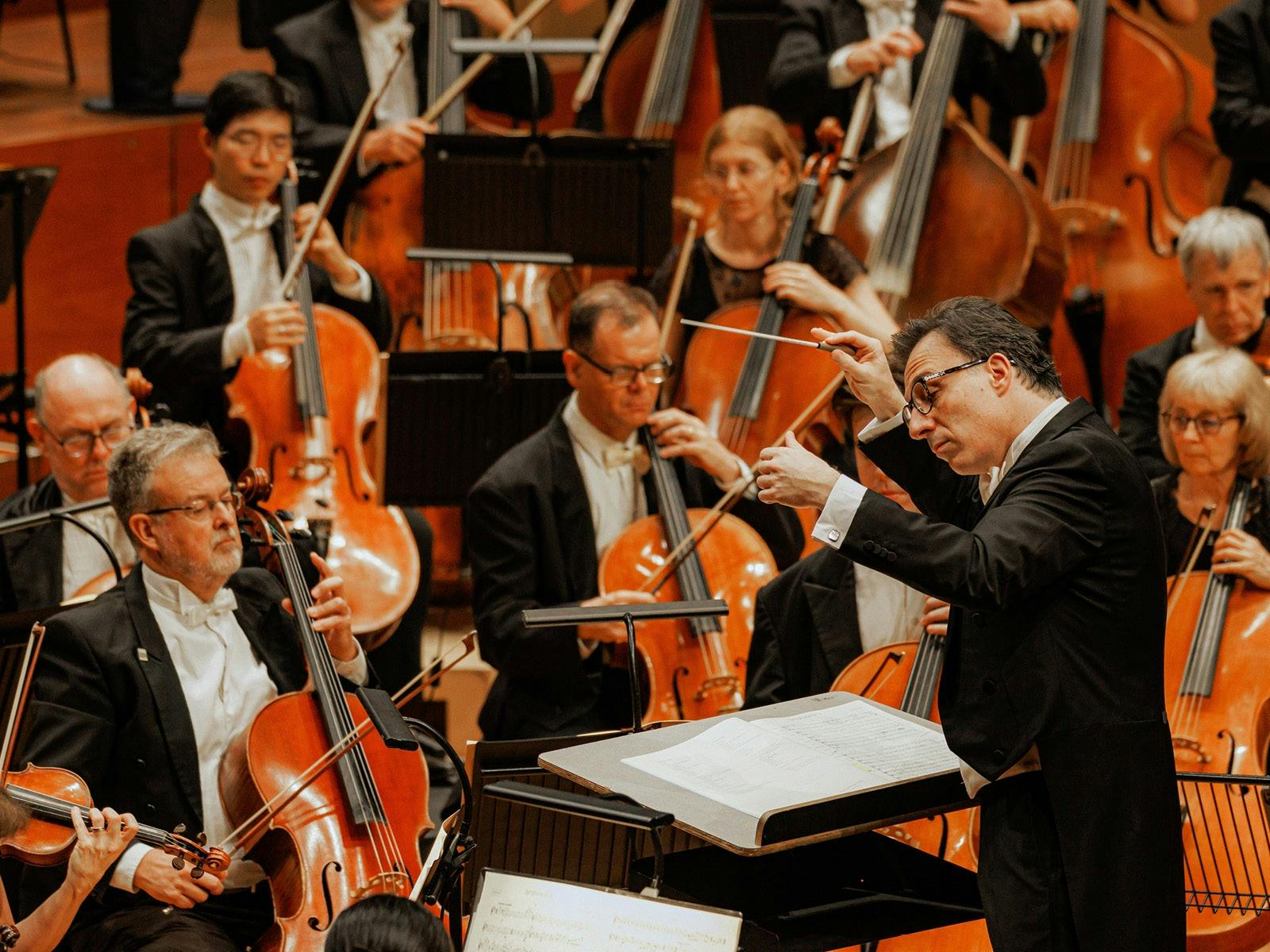 7 celloists dressed in black suit jackets, white shirts and bow ties and conductor with raised baton