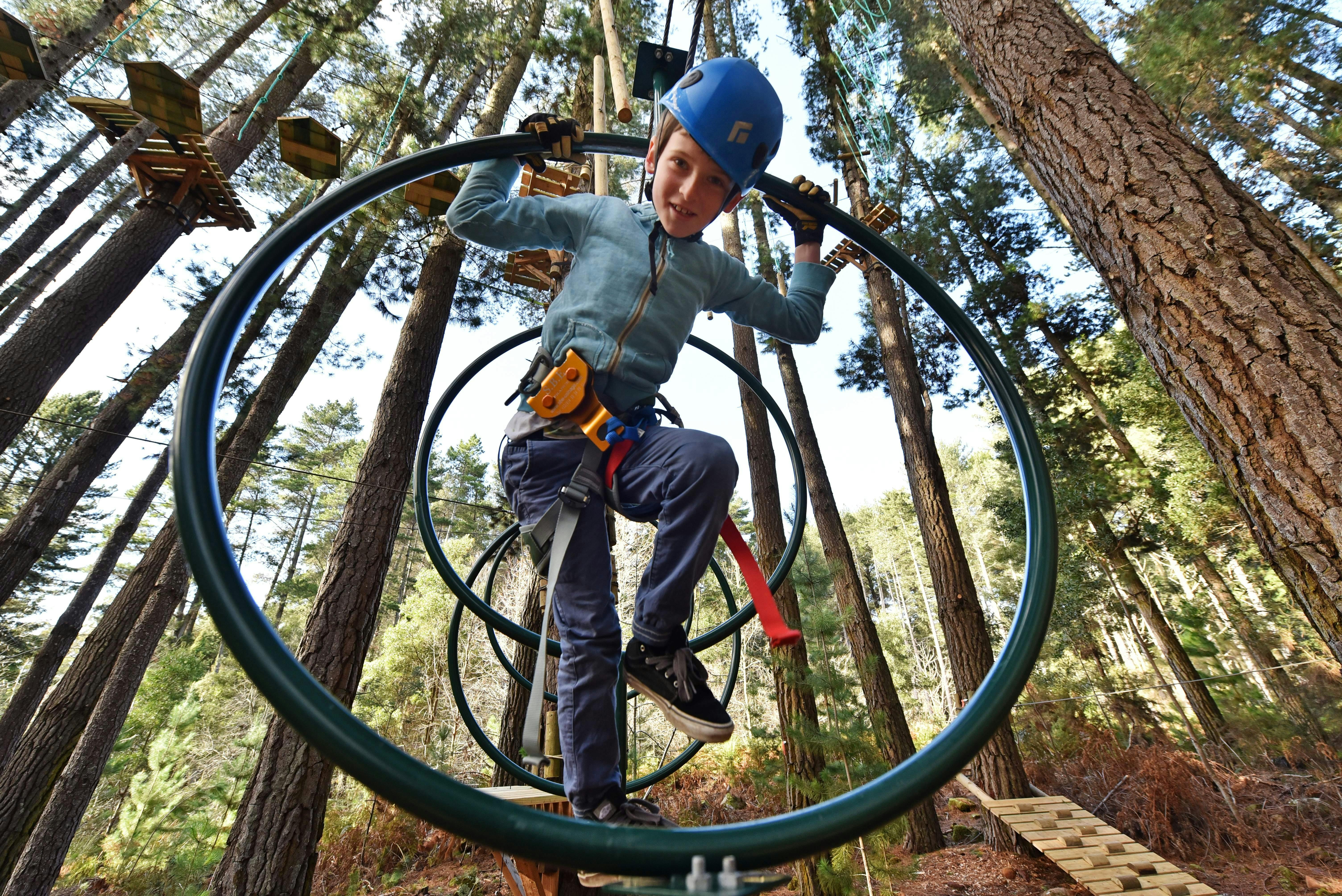 Treetops Adventure Hollybank High Ropes Course Discover Tasmania