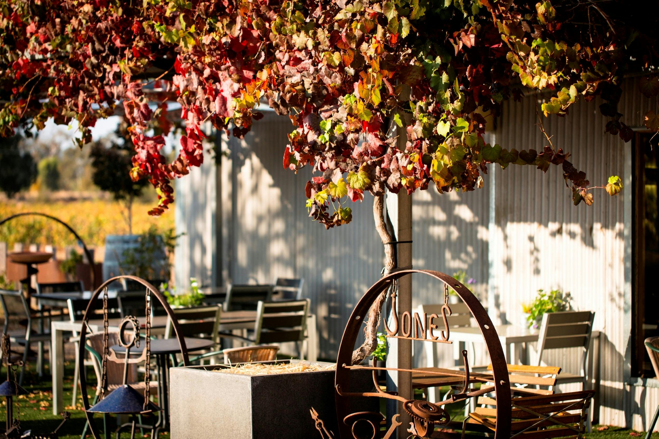Jones Winery Restaurant Rutherglen Outdoor Dining
