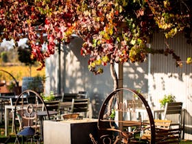 Jones Winery Restaurant Rutherglen Outdoor Dining