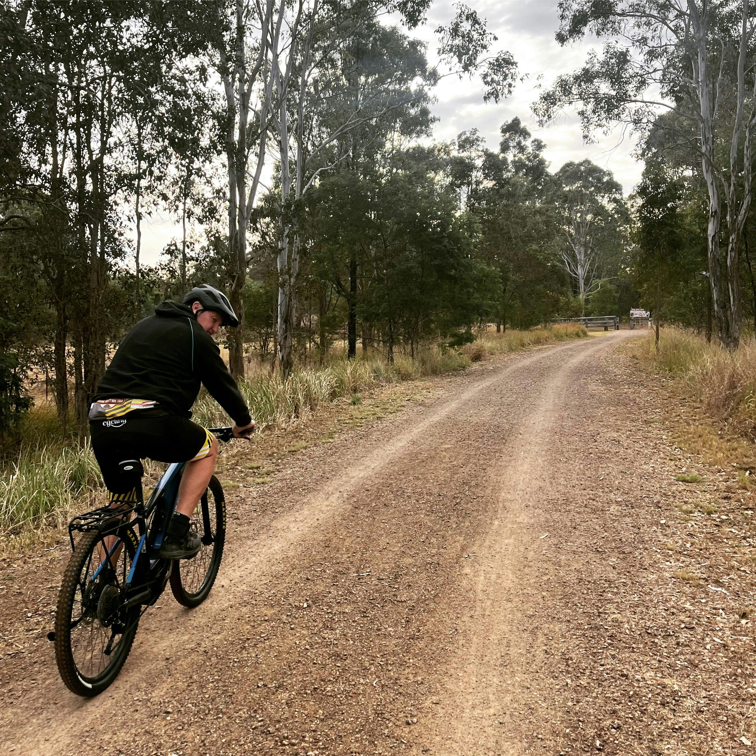a cyclist is riding a bike on a wide two lane rail trail, an avenue of trees on each side