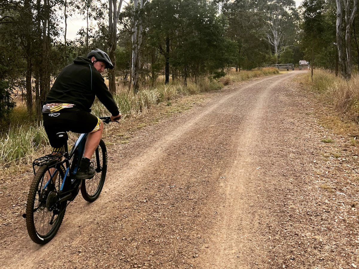 a cyclist is riding a bike on a wide two lane rail trail, an avenue of trees on each side