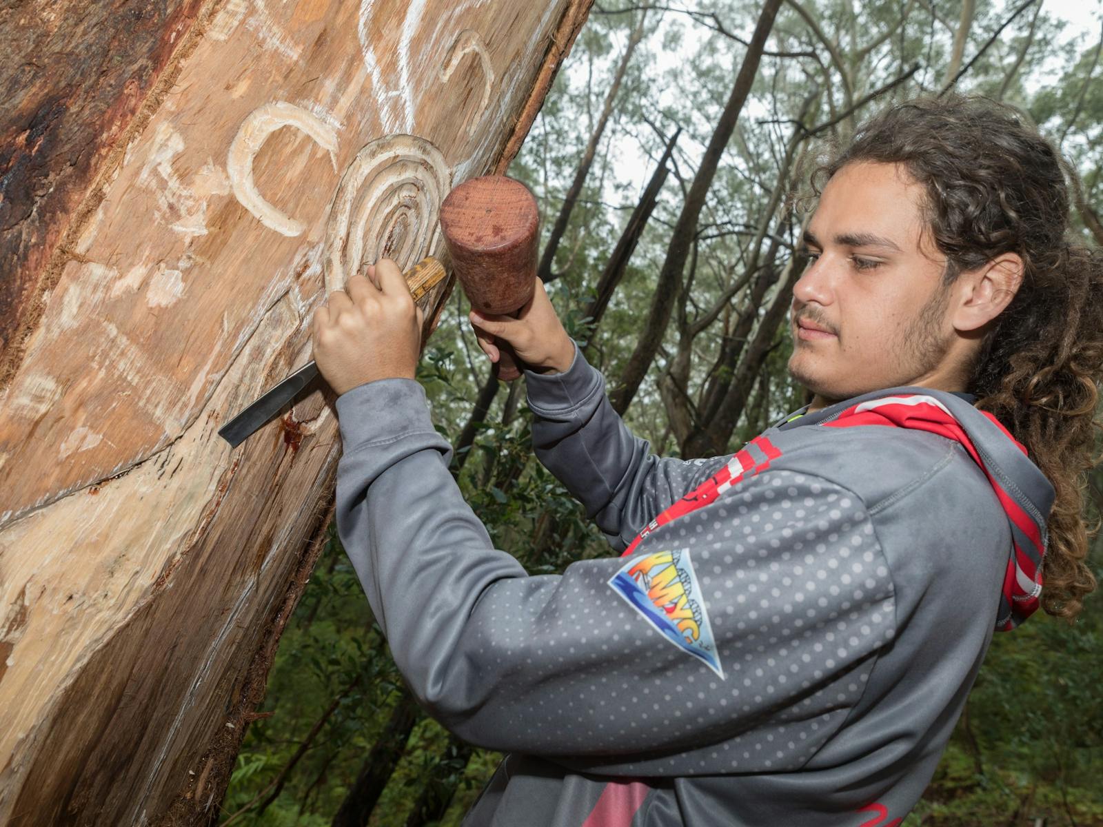 A young Worimi man performs traditional tree carving at Bulahdelah State Forest