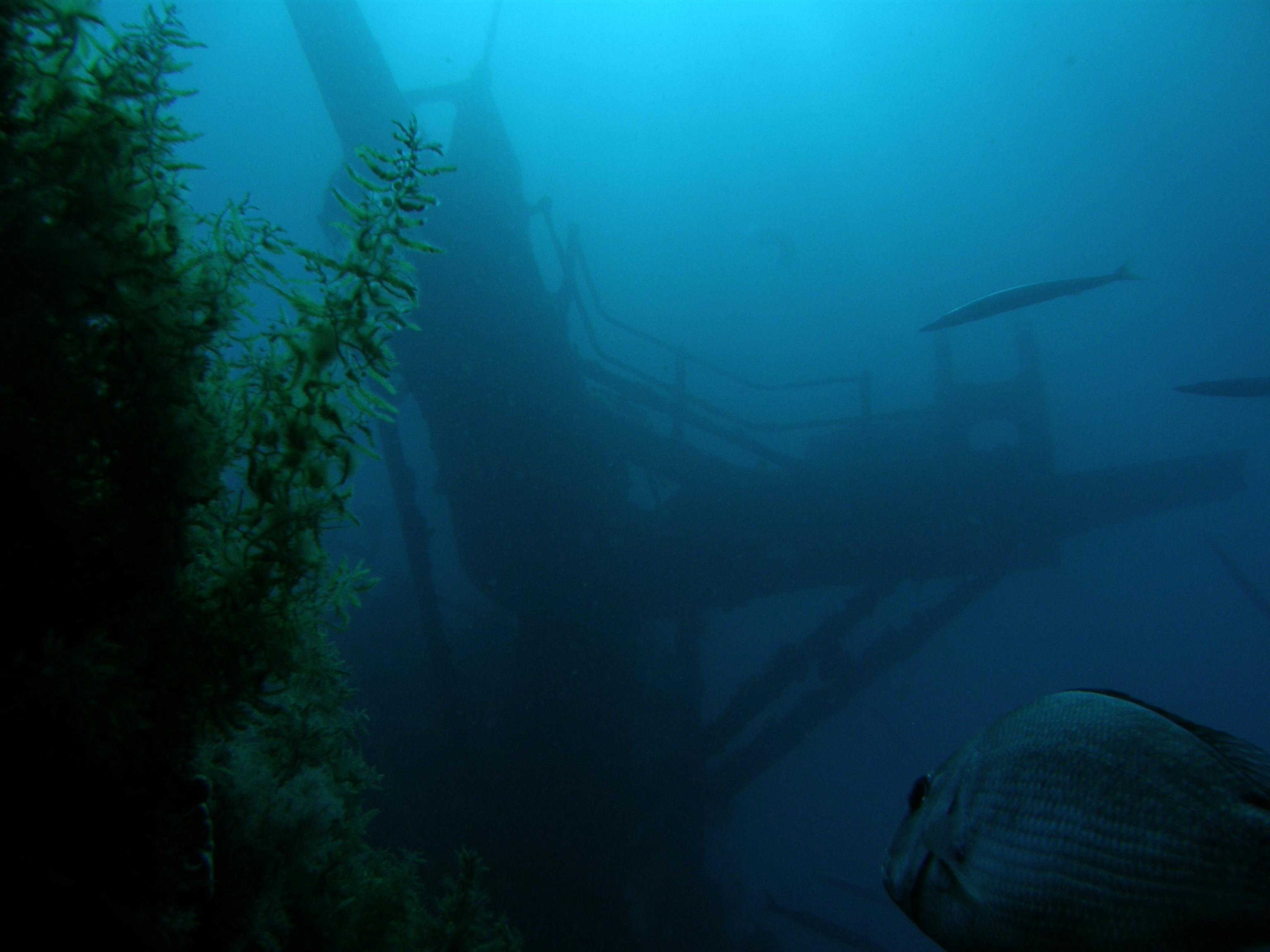 exHMAS Hobart dive site