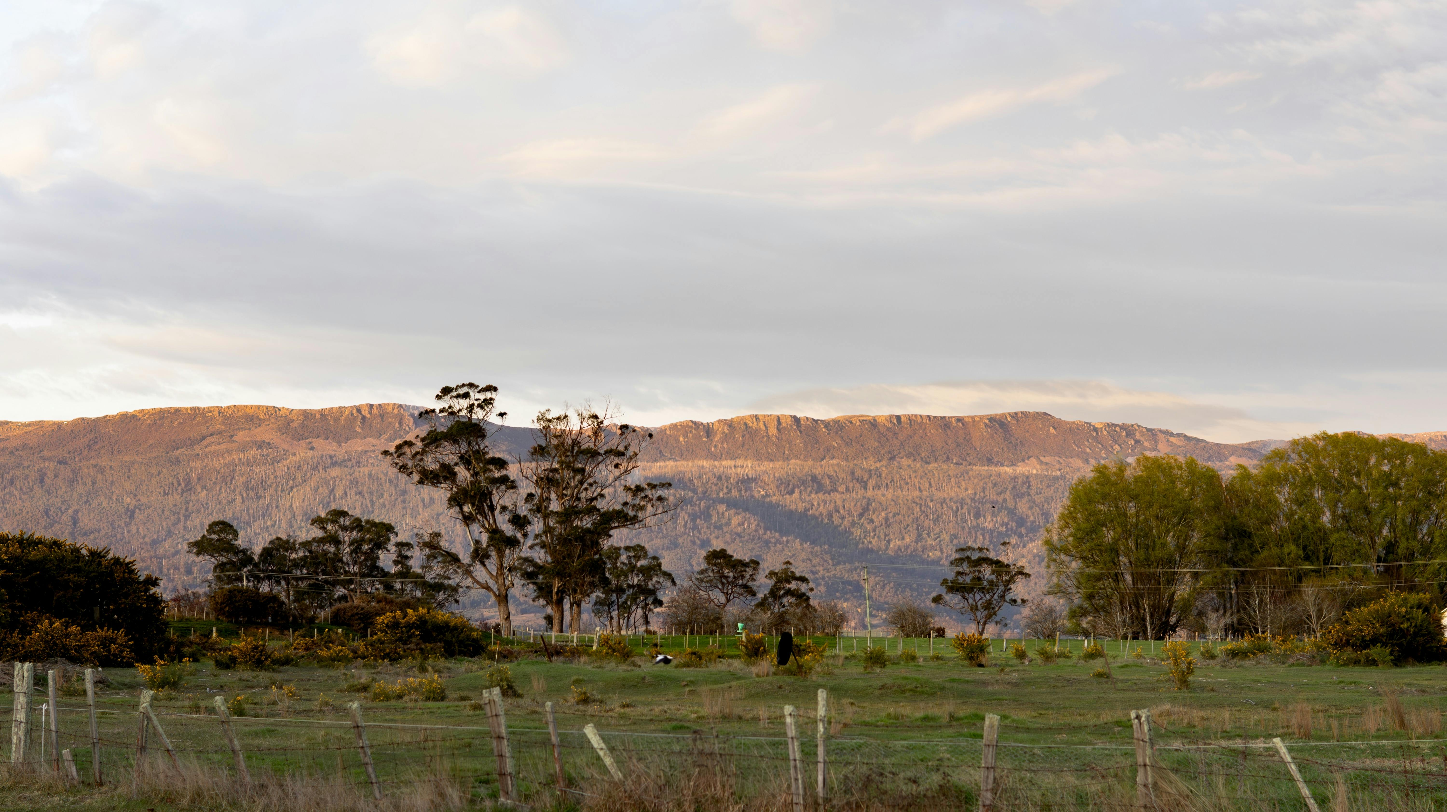 Sweeping views of the Great Western Tiers from Tiers Rest in Tasmania, showcasing rolling hills.