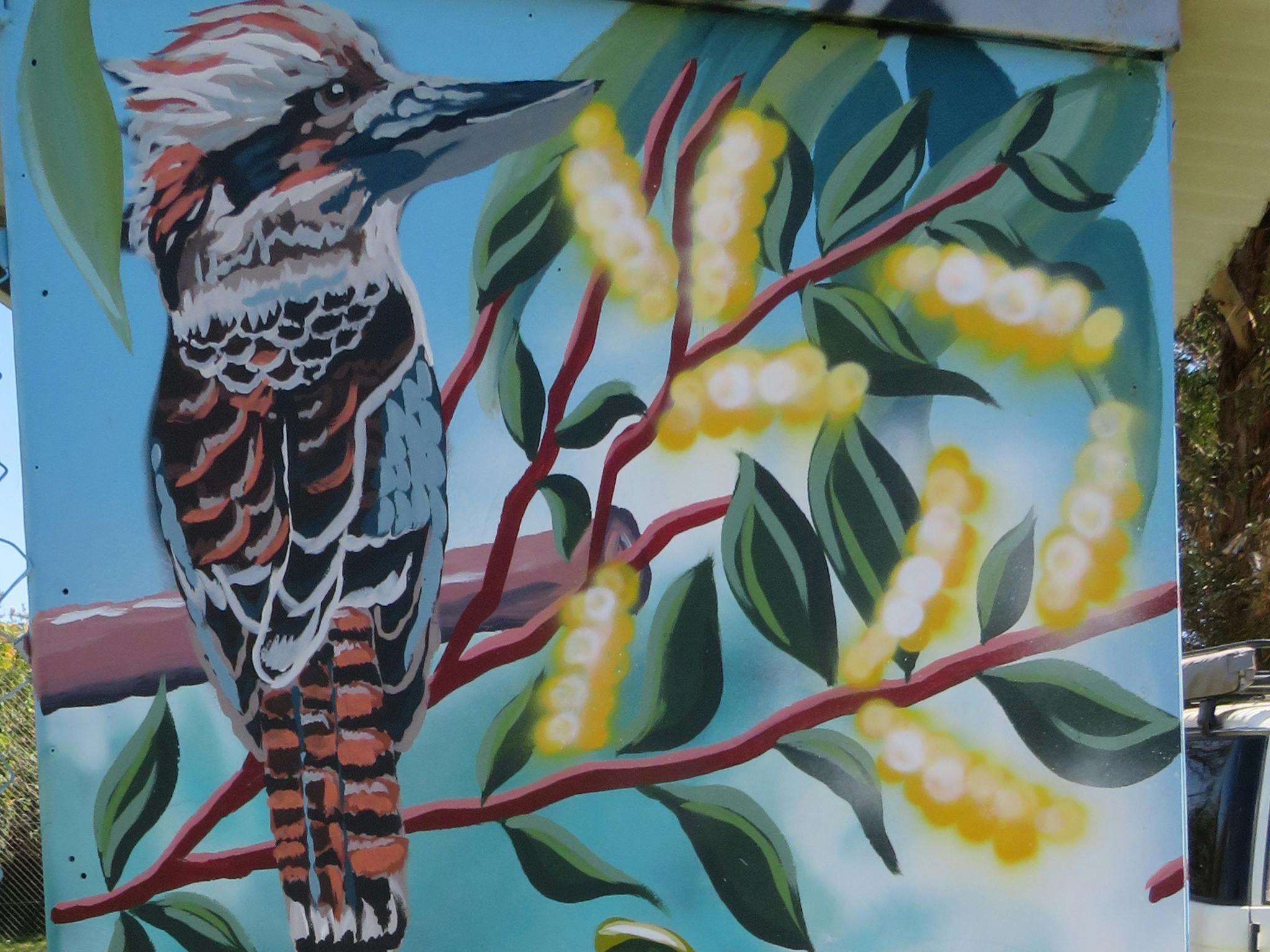 Kookaburra (detail)