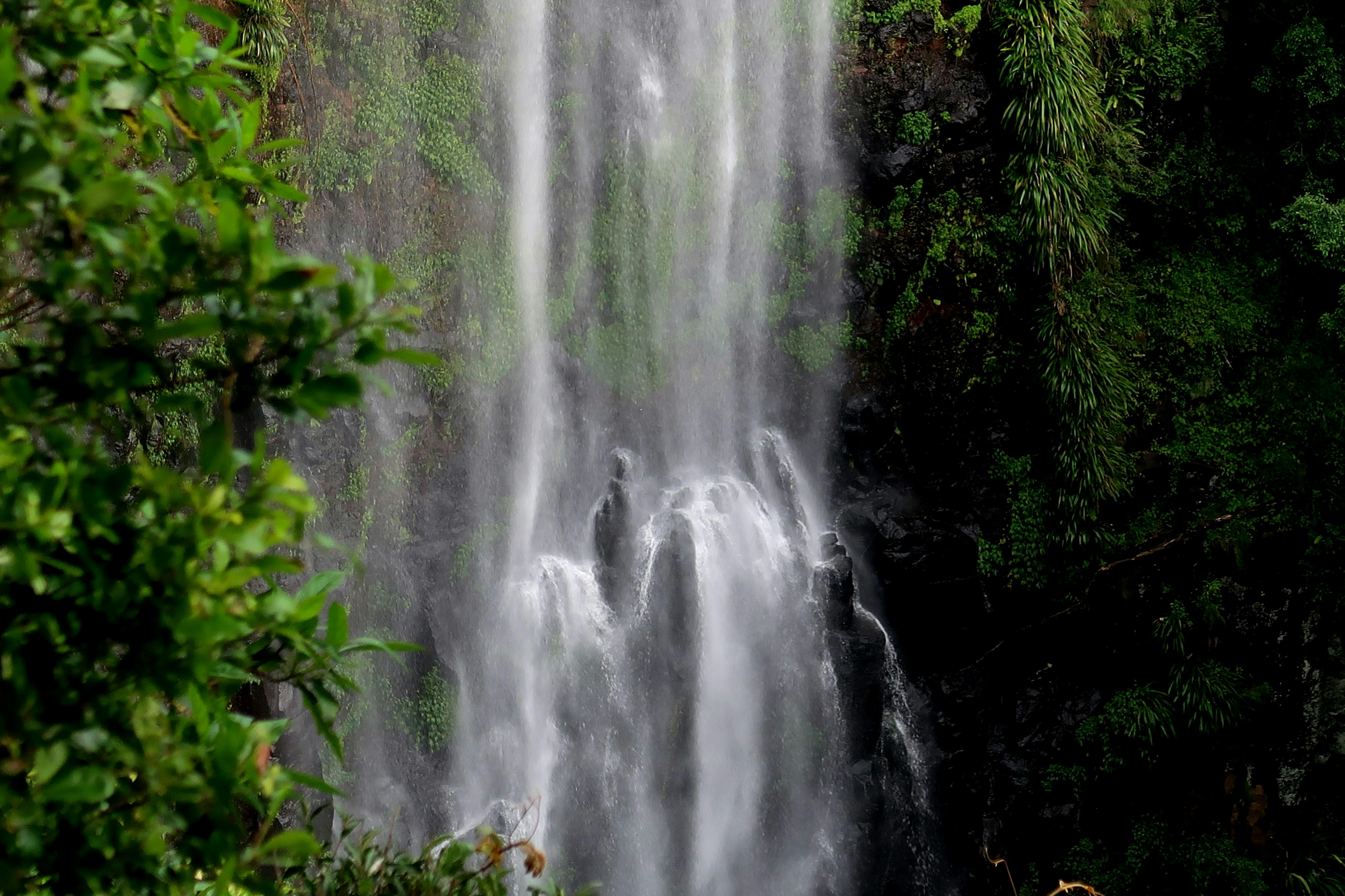 Morans Falls Lamington NP