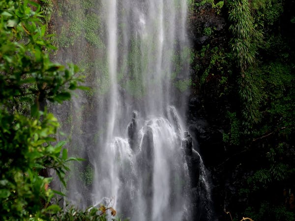 Morans Falls Lamington NP