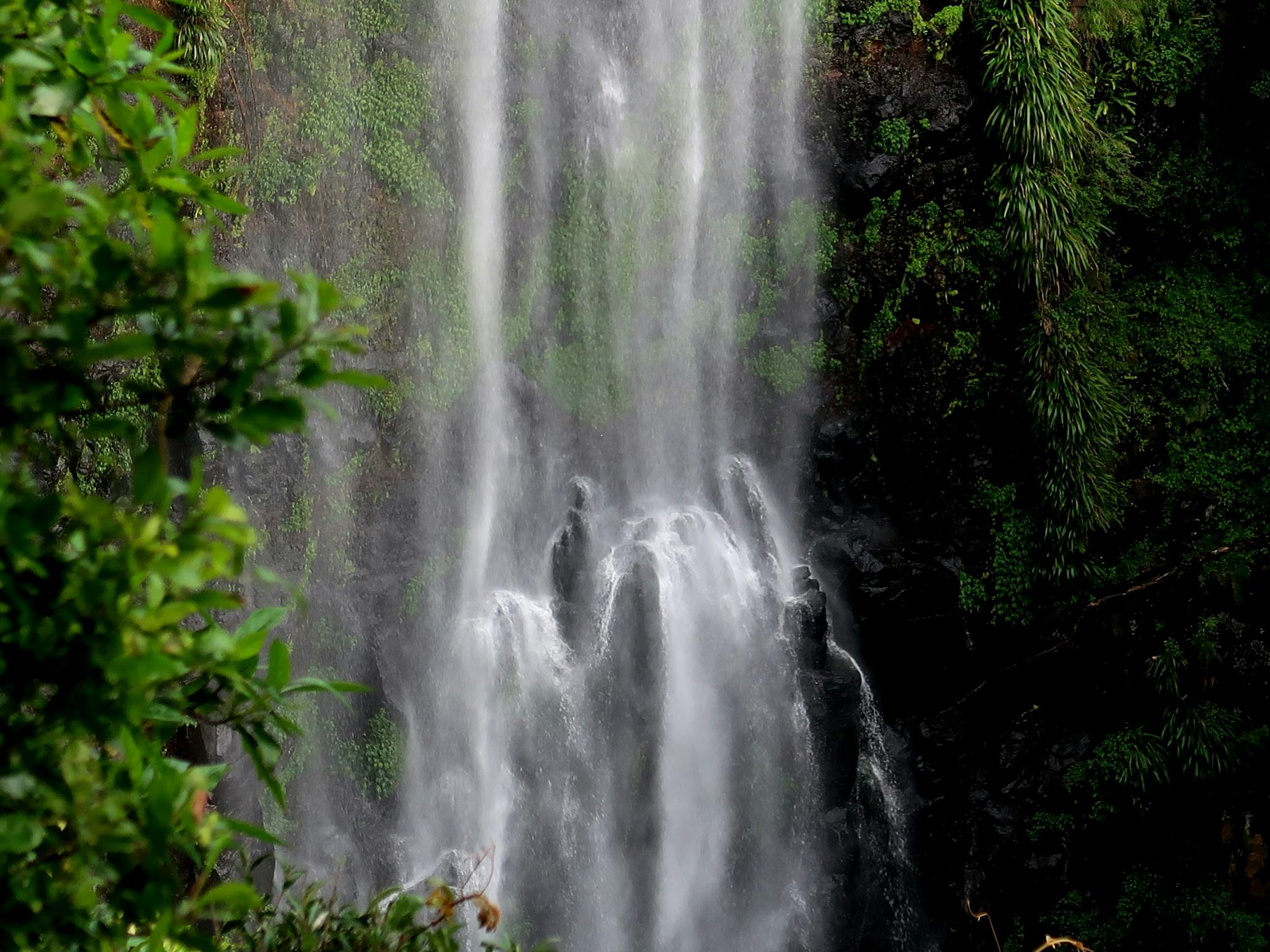 Morans Falls Lamington NP Morans Falls Lamington NP