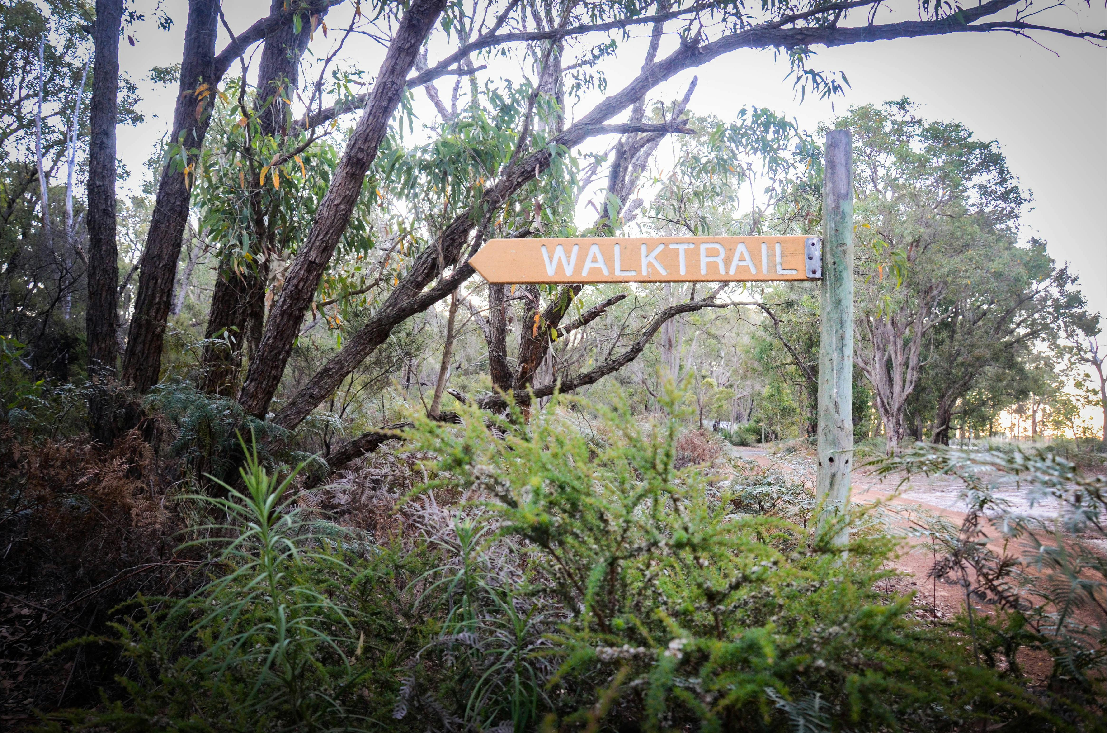 Meet the Woylies Tour