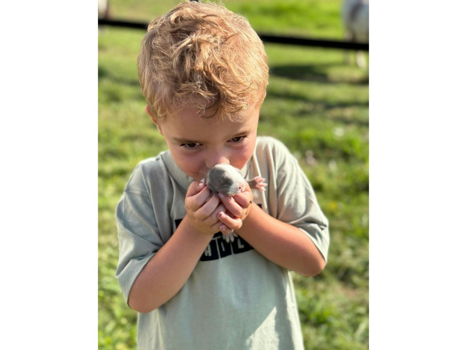Young boy gently holding a small chick, looking at it with care.