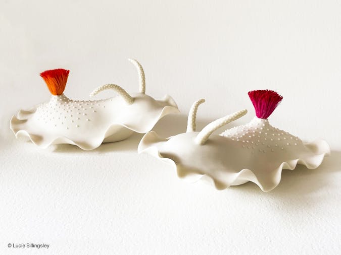Waterhouse Natural Science Art Prize Exhibition