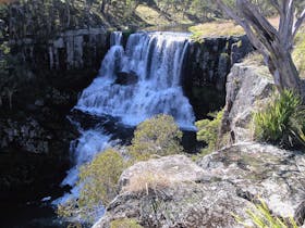 Upper Ebor Falls, part of the Waterfall Way