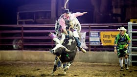 North Queensland Elite Rodeo