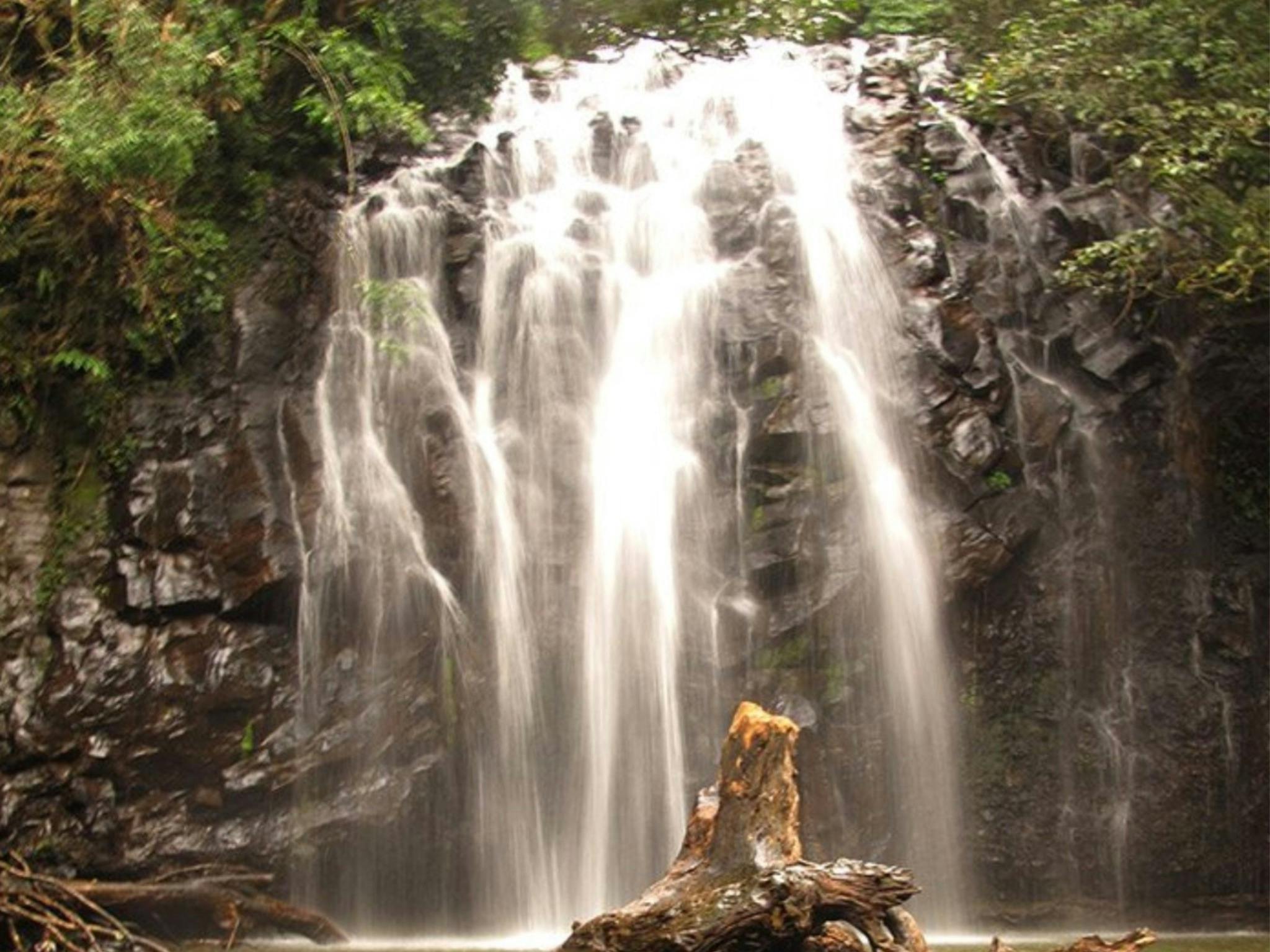 Wooroonooran National Park