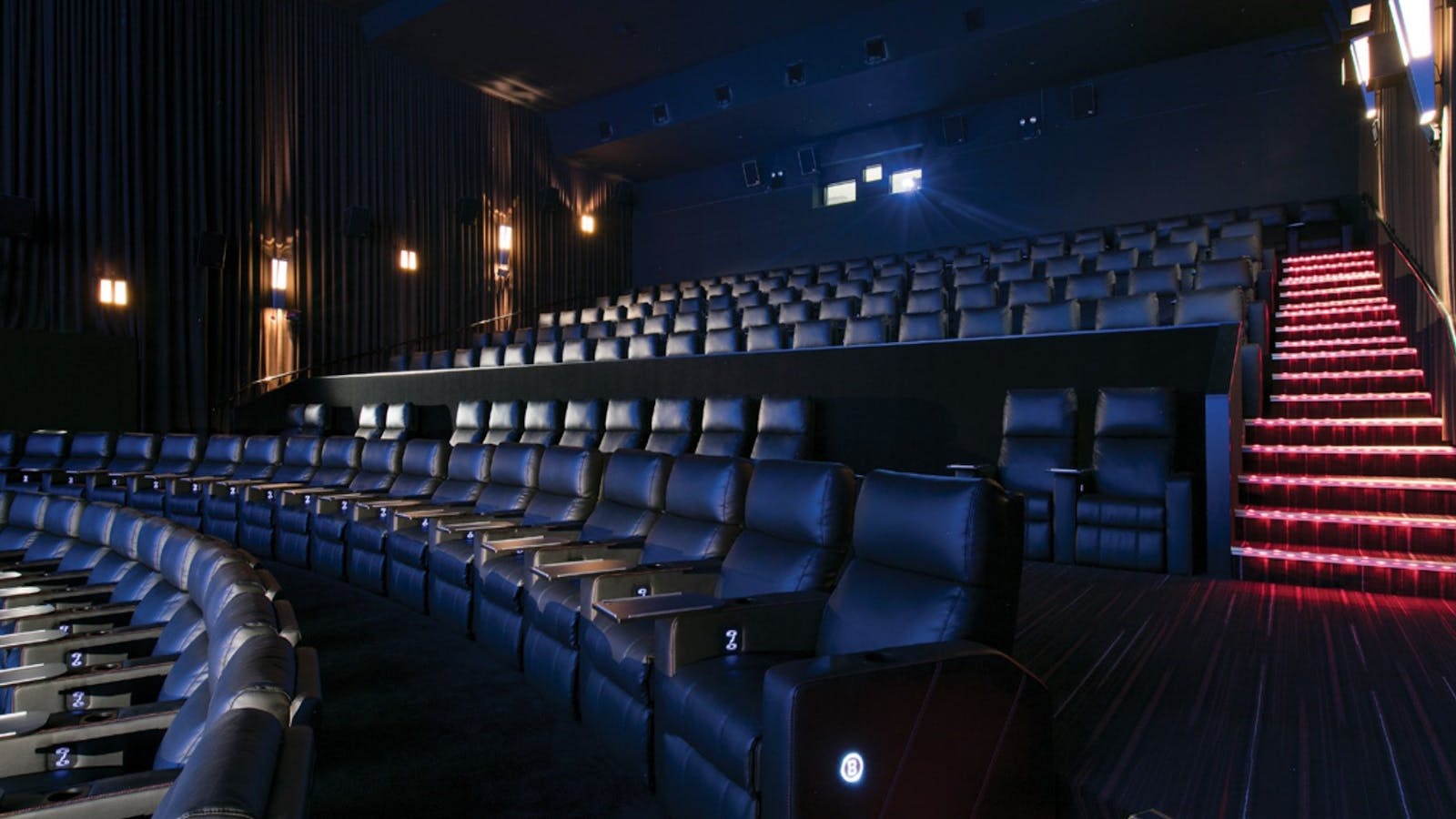 Reading Cinema