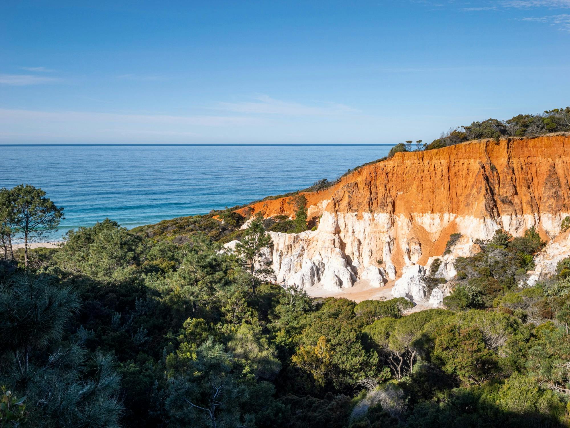 Blue sky, orange and white rocks and forest at the  Pinnacles Lookout
