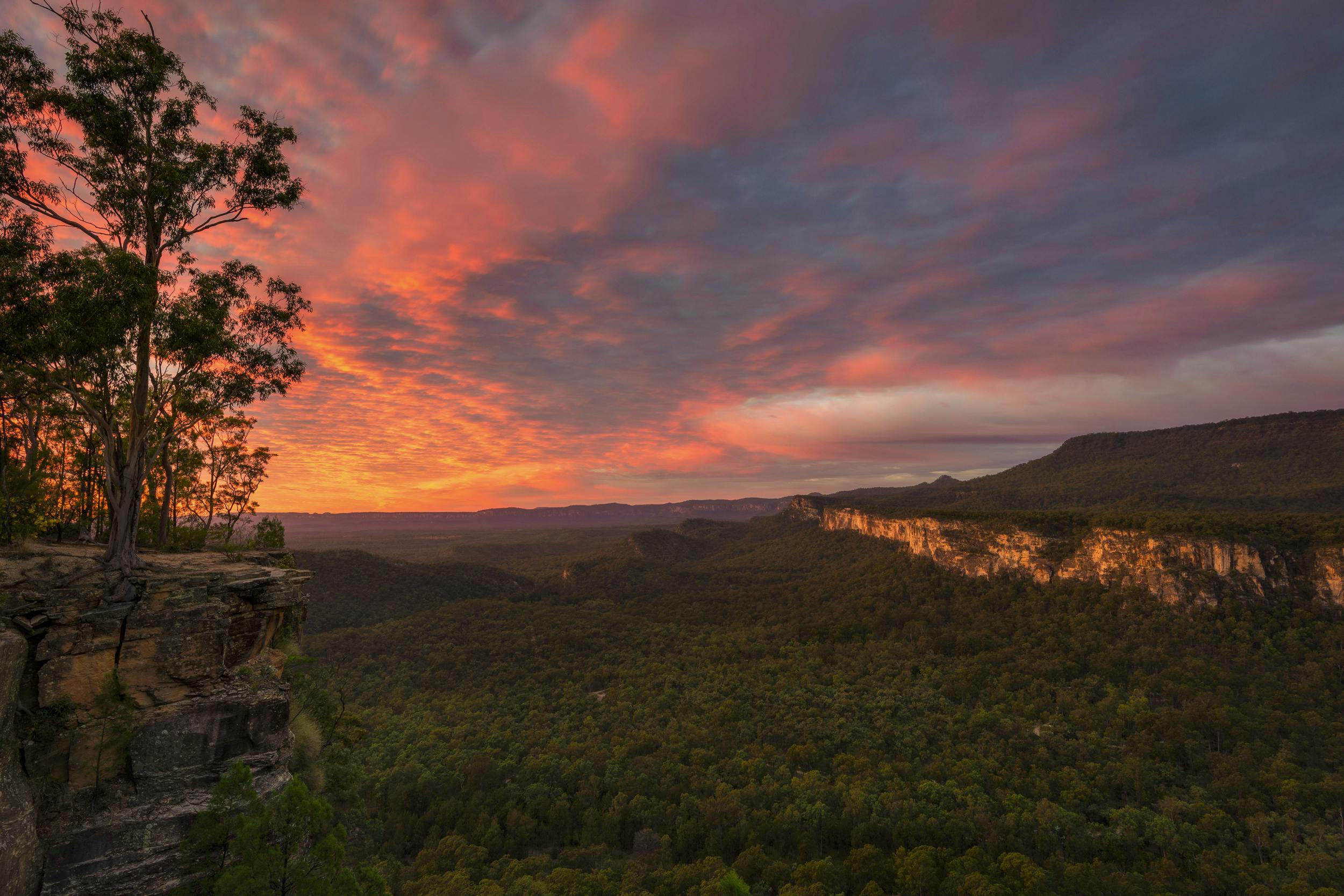 View from Boolimba Bluff at sunrise. Early morning light casts pastel colours on clouds and cliffs.