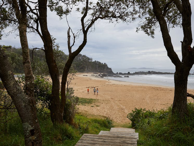 Billys beach is seen through the trees and down steps