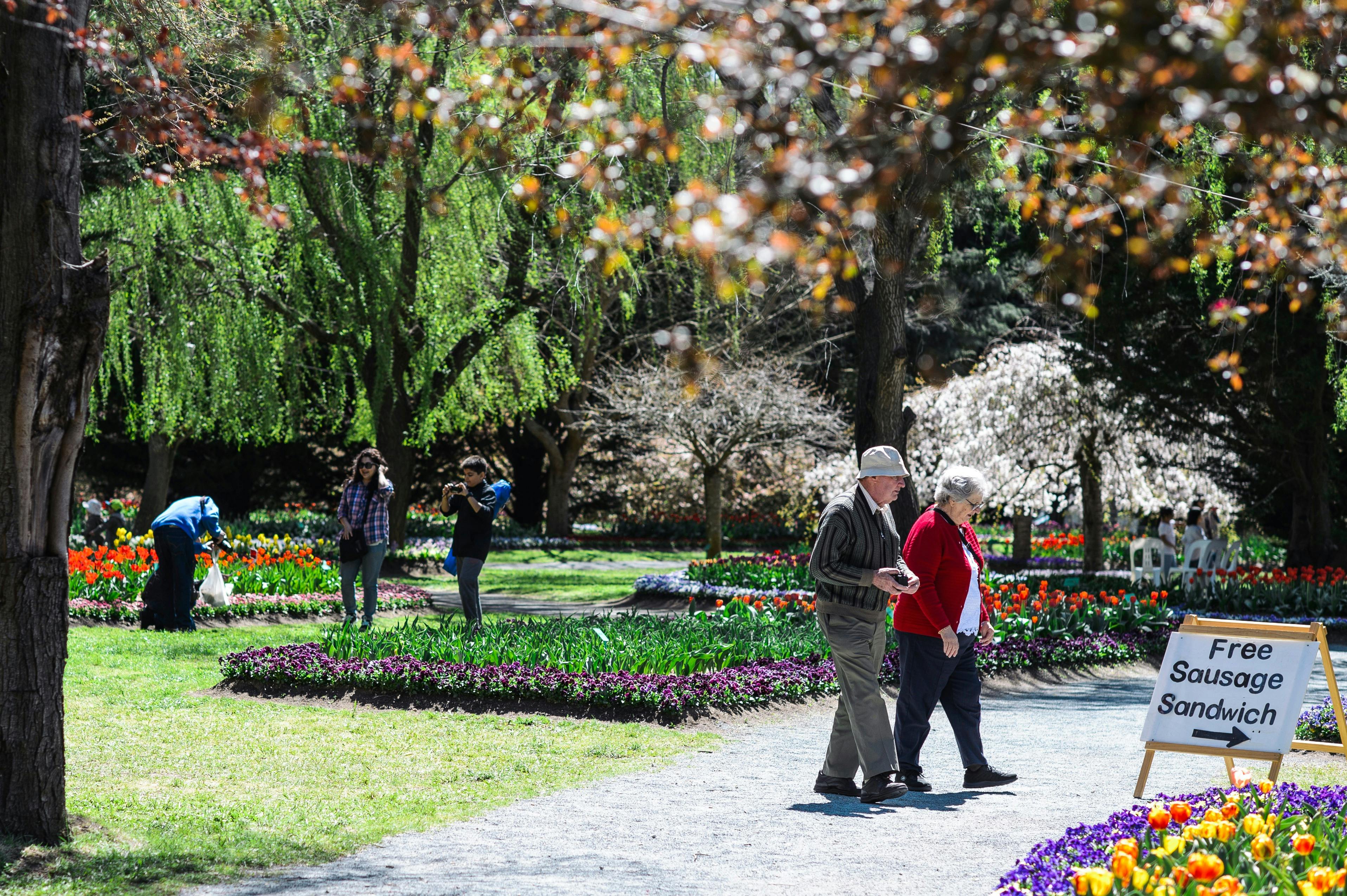 Image for Tulip Top Gardens