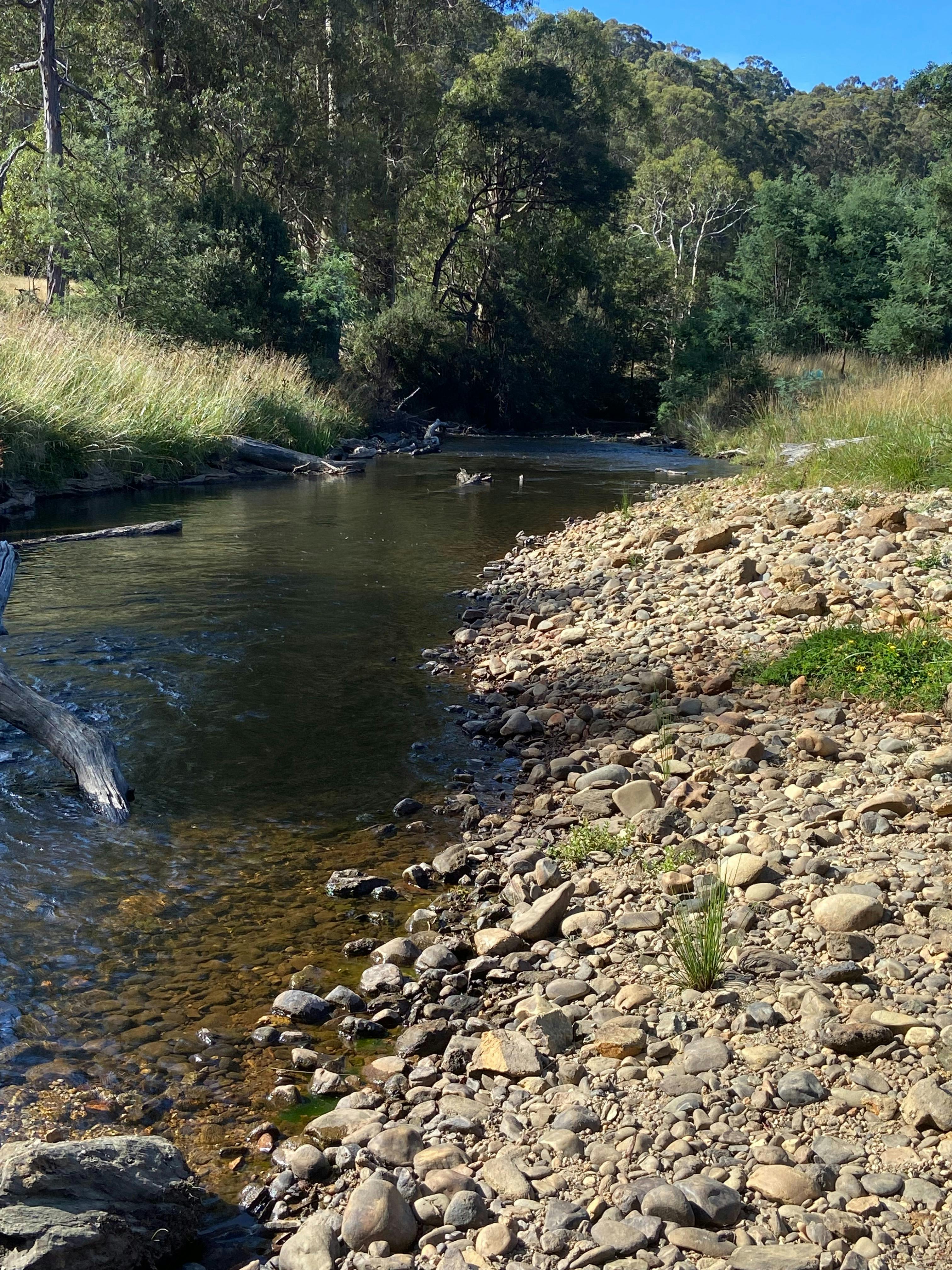 Camping by the river