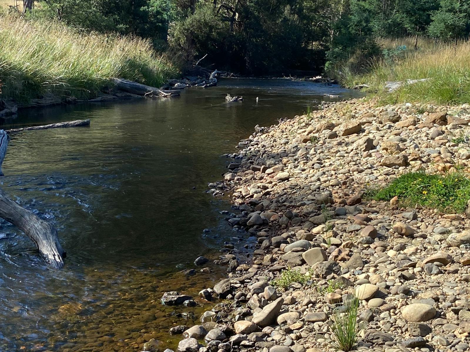 Camping by the river