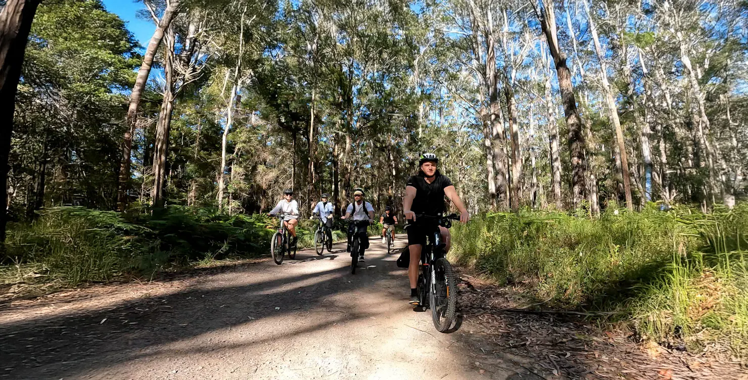 Five e-MTB riders cycling the Oaky Creek Trail in Mapleton National Park.