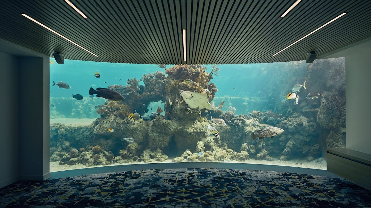 Underwater Observatory