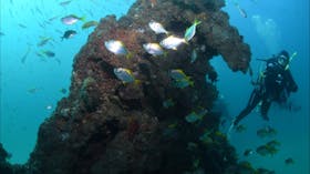 Scottish Prince Dive Site