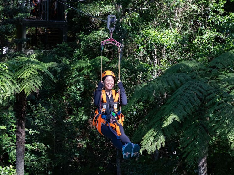 Zipline Tour at Illawarra Fly Treetop Adventures