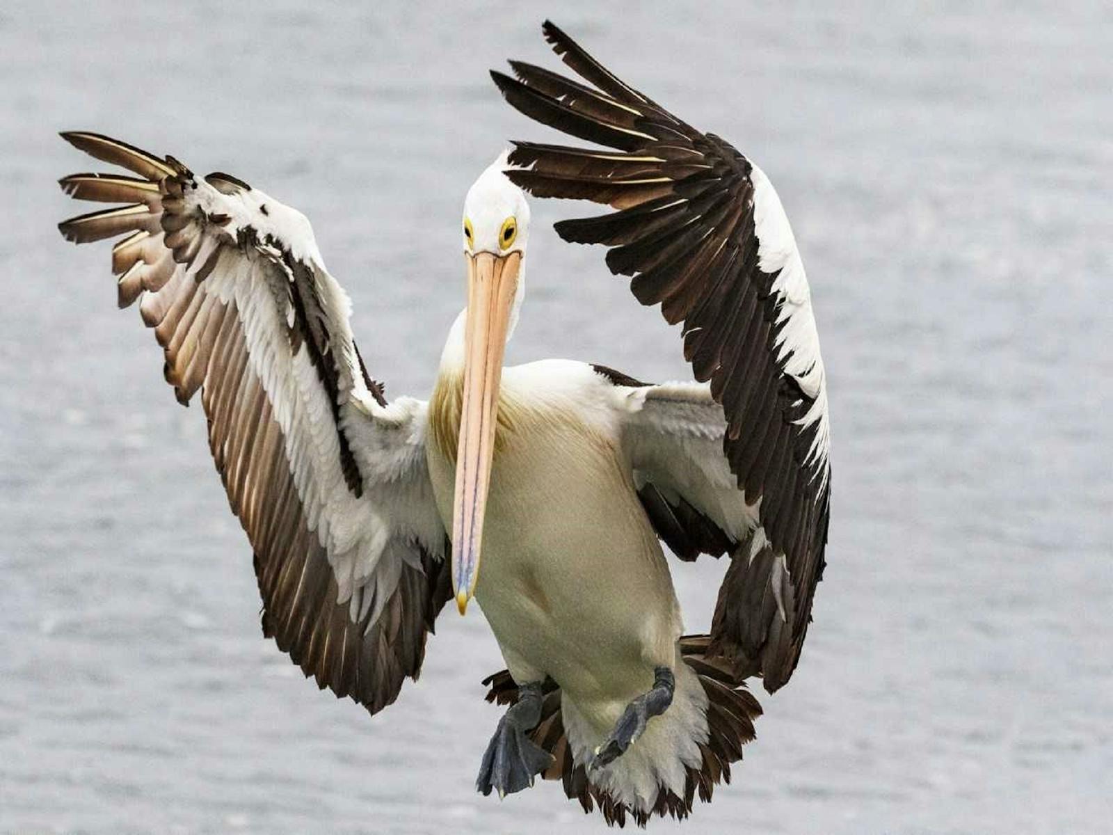 Image for Harden-Murrumburrah Photographic Competition