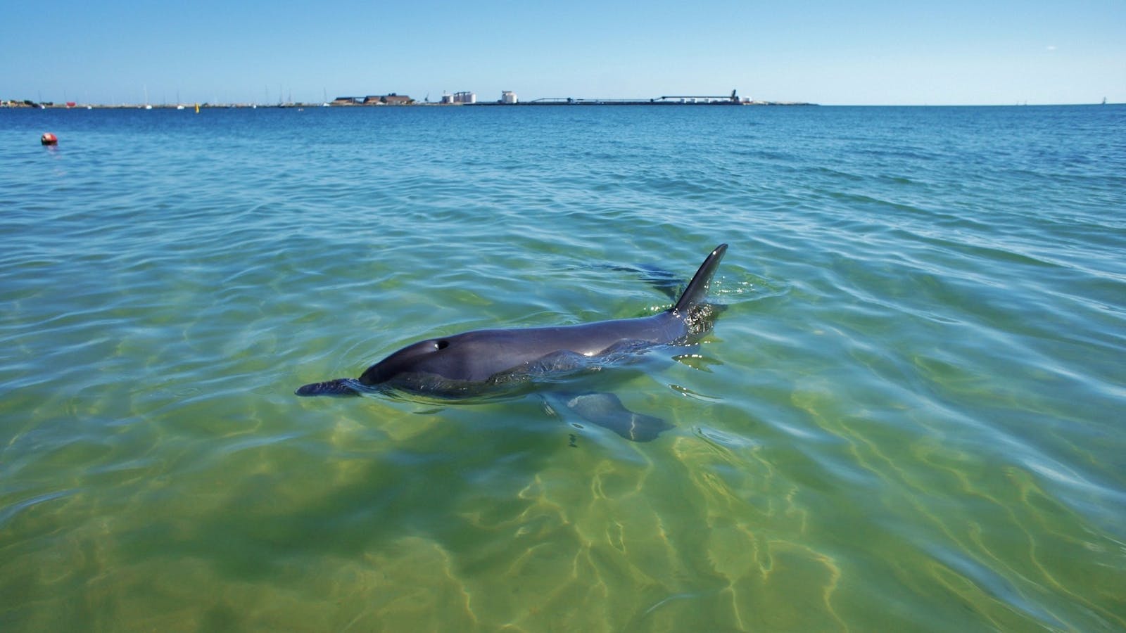 Koombana Bay