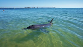 Koombana Bay, Western Australia