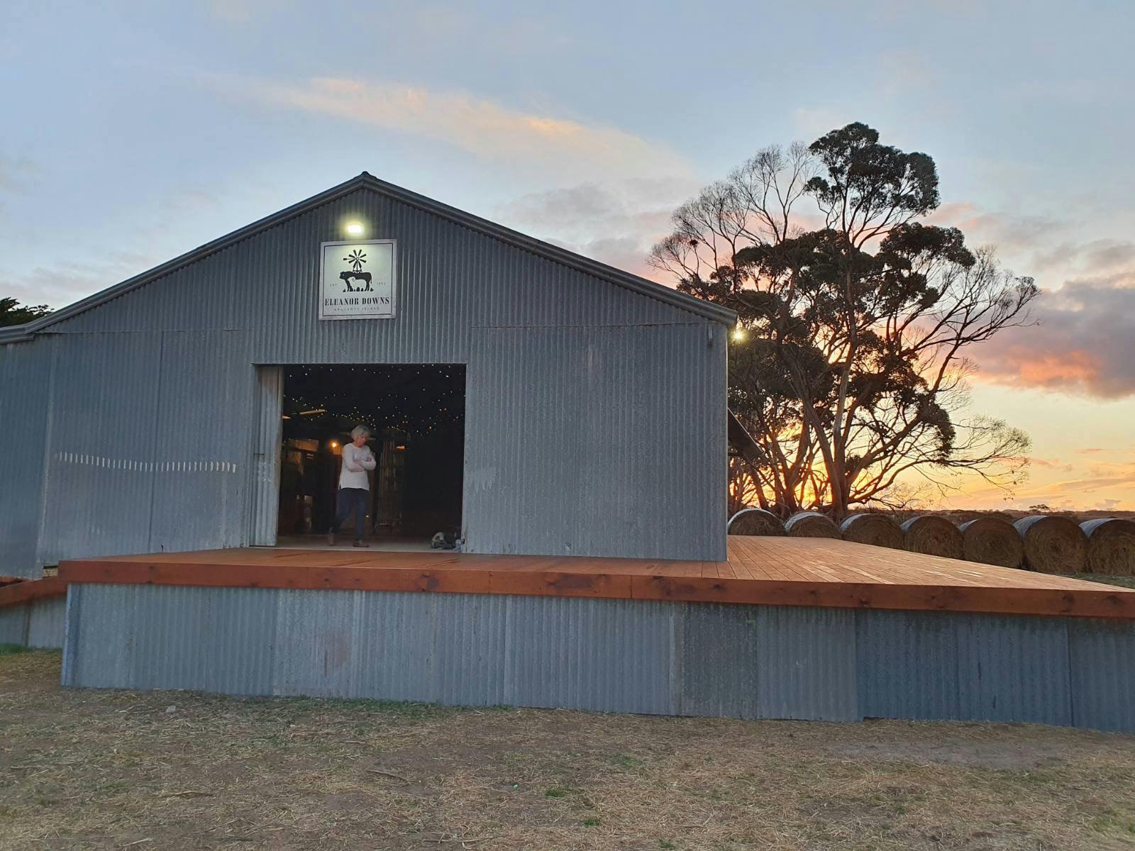 The Shearing Shed