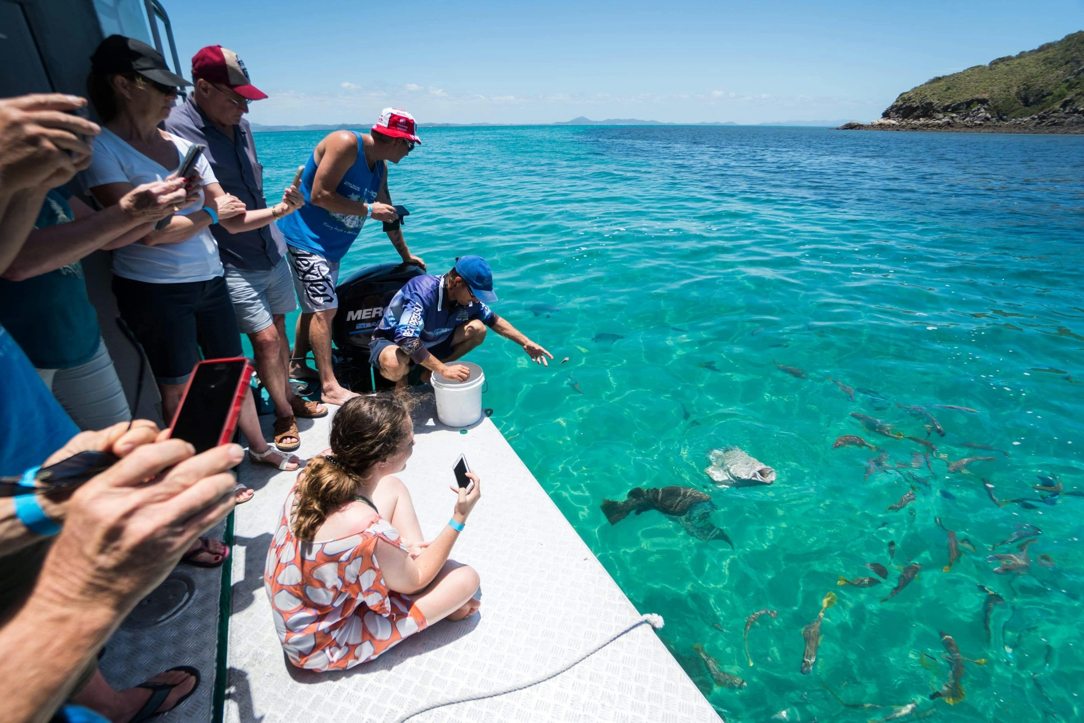 Behold the majestic giant, rising from the depths during our Glass Bottom Boat tour