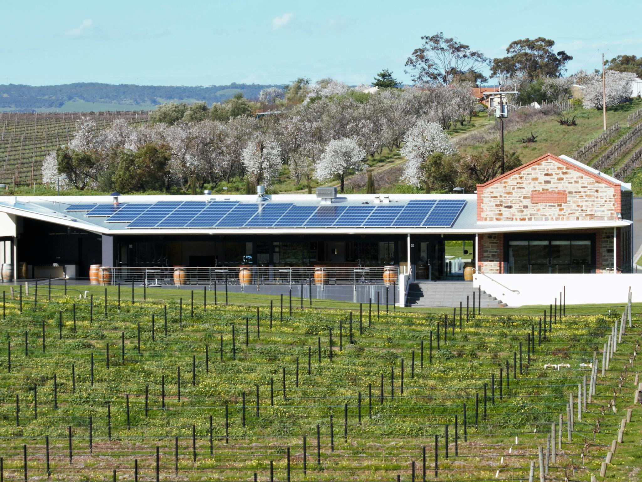 Angove McLaren Vale Cellar Door in Spring